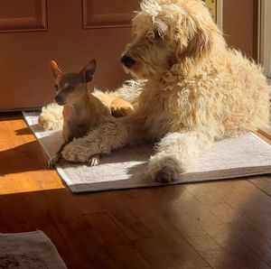 Meet your Posher, Barbara